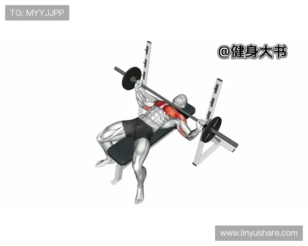 卧推握距选择对胸肌发力与力量提升的关键影响解析科学原理与实战建议