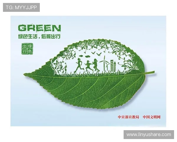 绿色世界杯引领全球低碳未来共建可持续体育盛会新范式发展文明