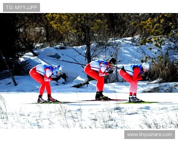 高山滑雪速度极限突破与竞技技巧提升全面解析指南训练策略与安全