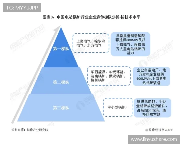 大洋洲名额分配格局与国际赛事发展前景探析及区域竞争力提升研究 - 副本 (2) - 副本