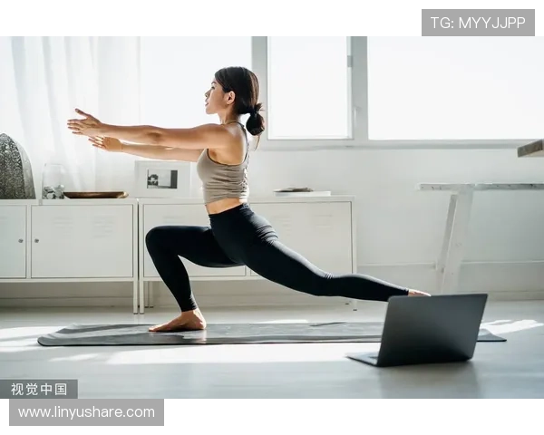 居家健身新趋势打造高效安全科学训练的全场景指南家庭人群长期坚持方案 - 副本 (2) - 副本