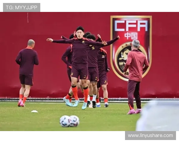 国足冲击世界杯梦想再起,全面解析未来征战之路