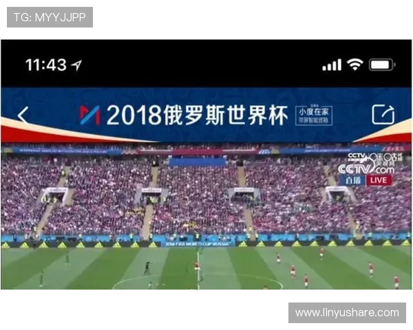 世界杯高清直播全程观看指南带你实时体验精彩赛事盛况 - 副本 - 副本 - 副本